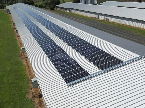 100kW solar power system at a chicken farm.