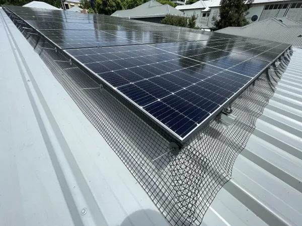 Home solar panel installation with anti bird mash.